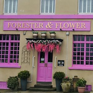The Forester And Flower